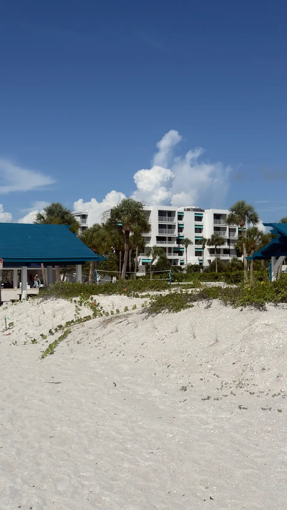 White sand at the Bay Isles Beach Club with palms and a condo under a blue sky