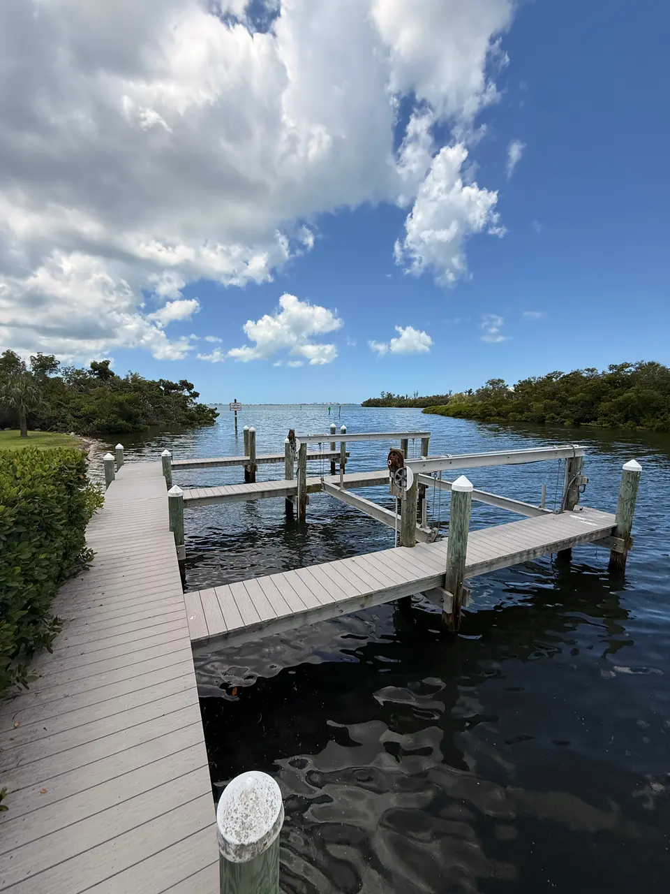 Wooden dock over calm bay water lined with mangroves under puffy clouds